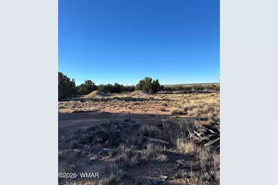 3893 Trebil Boulevard, Snowflake, AZ 85937 - Photo 7