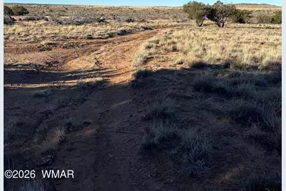 3893 Trebil Boulevard, Snowflake, AZ 85937 - Photo 5