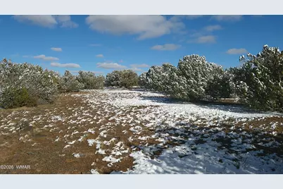 8565 Pine Lane, Snowflake, AZ 85937 - Photo 25