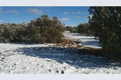 8571 Pine Lane, Snowflake, AZ 85937 - Photo 13