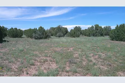 8571 Pine Lane, Snowflake, AZ 85937 - Photo 19