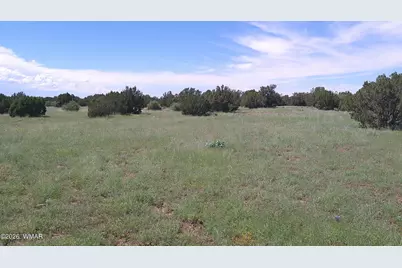8571 Pine Lane, Snowflake, AZ 85937 - Photo 21