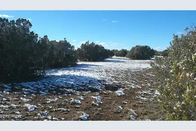 8577 Pine Lane, Snowflake, AZ 85937 - Photo 23