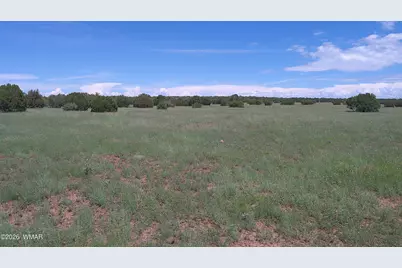 8577 Pine Lane, Snowflake, AZ 85937 - Photo 17