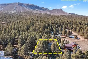 24 Co Rd 2065, Alpine, AZ 85920 - Photo 31