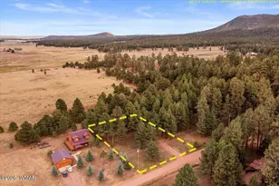 24 Co Rd 2065, Alpine, AZ 85920 - Photo 33
