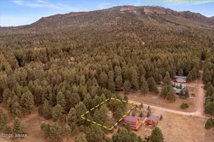 24 Co Rd 2065, Alpine, AZ 85920 - Photo 37