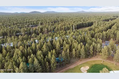 7319 Indian Bend Road, Pinetop, AZ 85935 - Photo 55