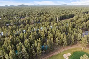 7319 Indian Bend Rd, Pinetop, AZ 85935 - Photo 55