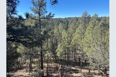 4161 W Thornton Road, Show Low, AZ 85901 - Photo 27