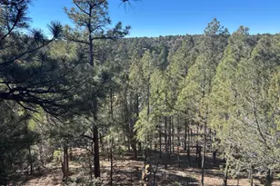 4161 W Thornton Rd, Show Low, AZ 85901 - Photo 27