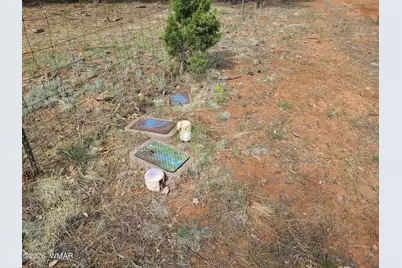 3085 State Route 277, Overgaard, AZ 85933 - Photo 9