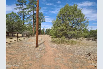 3085 State Route 277, Overgaard, AZ 85933 - Photo 5