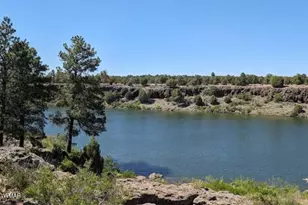 630 Vernon County Rd, Vernon, AZ 85940 - Photo 23