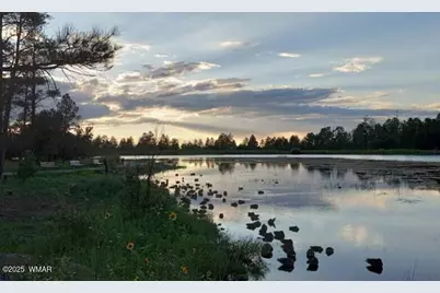 630 Vernon County Road, Vernon, AZ 85940 - Photo 25