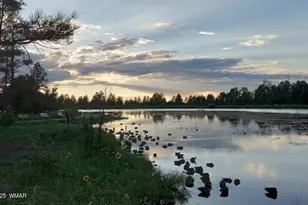 630 Vernon County Rd, Vernon, AZ 85940 - Photo 25