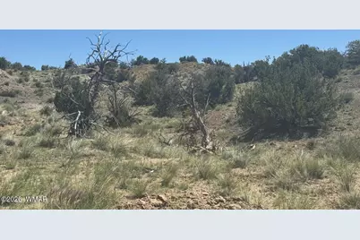 Tbd Lot 407 N6726, Saint Johns, AZ 85936 - Photo 3