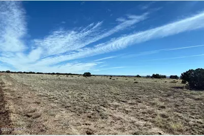Tbd Lot 372 Cr N7150, Saint Johns, AZ 85936 - Photo 3