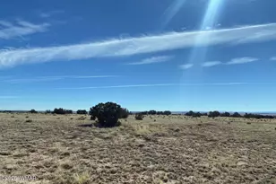 Tbd Lot 372 Cr N7150, Saint Johns, AZ 85936 - Photo 1