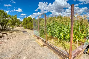 1156 Lesueur Dr, Eagar, AZ 85925 - Photo 37