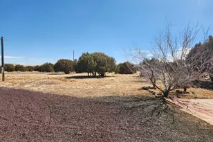 23 Co Rd 8206, Concho, AZ 85924 - Photo 41