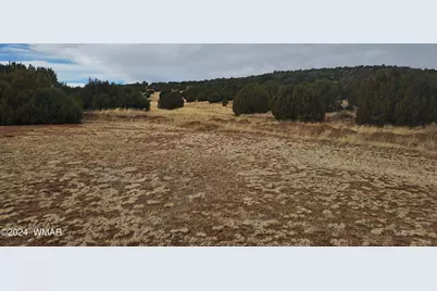 23 County Road 8206, Concho, AZ 85924 - Photo 9