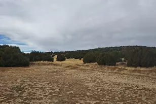 23 Co Rd 8206, Concho, AZ 85924 - Photo 9