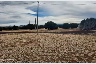 23 County Road 8206, Concho, AZ 85924 - Photo 13