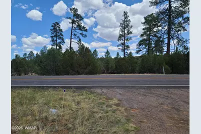 3091 Az-277, Overgaard, AZ 85933 - Photo 15