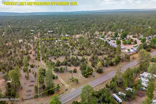 3091 AZ-277, Overgaard, AZ 85933 - Photo 1