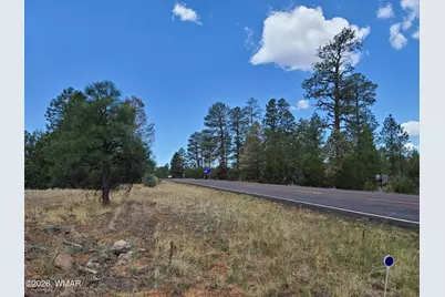 3091 Az-277, Overgaard, AZ 85933 - Photo 13