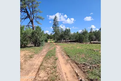 3091 Az-277, Overgaard, AZ 85933 - Photo 9