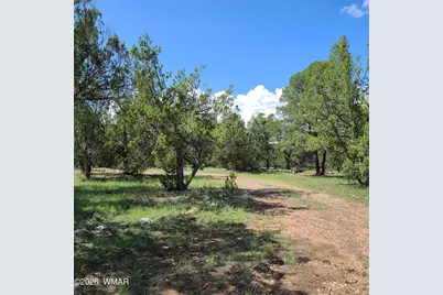 3091 Az-277, Overgaard, AZ 85933 - Photo 5