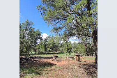 3091 Az-277, Overgaard, AZ 85933 - Photo 7