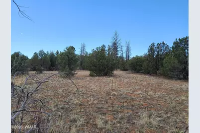 3091 Az-277, Overgaard, AZ 85933 - Photo 17