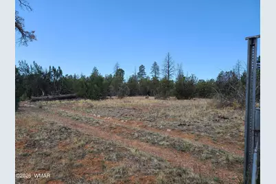 3091 Az-277, Overgaard, AZ 85933 - Photo 11