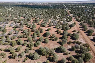 2276 Christopher Trail, Show Low, AZ 85901 - Photo 1