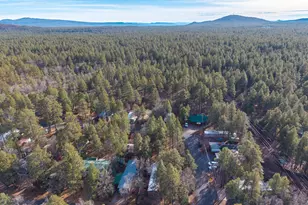 5745 Hopi Ln, Pinetop, AZ 85935 - Photo 25