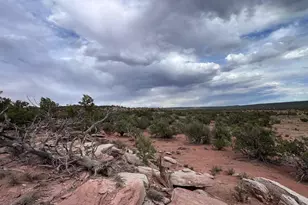 9286 Blackberry Ln, Show Low, AZ 85901 - Photo 1