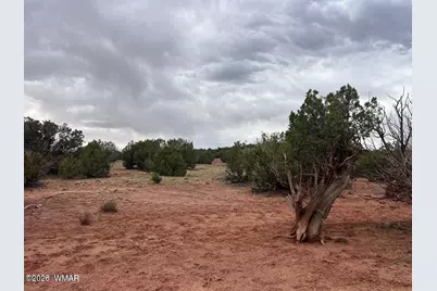 9286 Blackberry Lane, Show Low, AZ 85901 - Photo 5