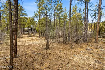 1103 W Big Spring Trail, Lakeside, AZ 85929 - Photo 13