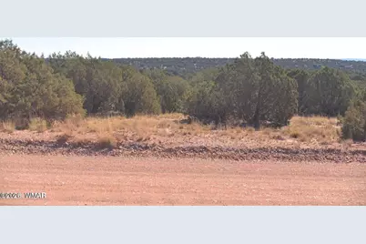 4173 Colt Road, Snowflake, AZ 85937 - Photo 5