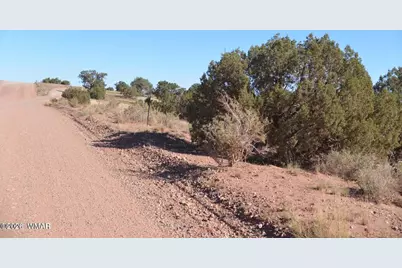 4173 Colt Road, Snowflake, AZ 85937 - Photo 3