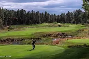 2141 W Whispering Springs Rd, Show Low, AZ 85901 - Photo 65