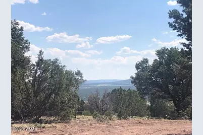 Lot 20 Mountain Pine Road, Vernon, AZ 85940 - Photo 9