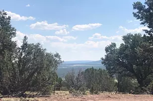 Lot 20 Mountain Pine Rd, Vernon, AZ 85940 - Photo 9