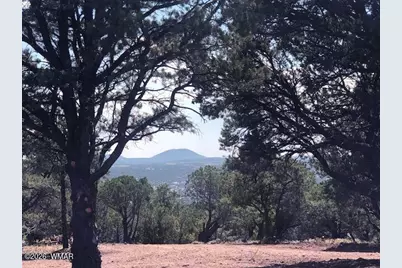 Lot 20 Mountain Pine Road, Vernon, AZ 85940 - Photo 1