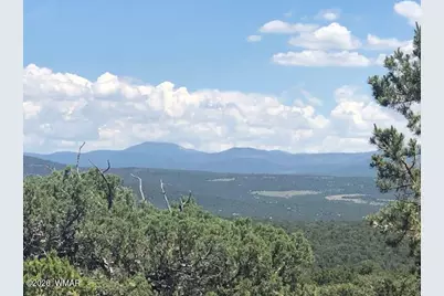 Lot 20 Mountain Pine Road, Vernon, AZ 85940 - Photo 7