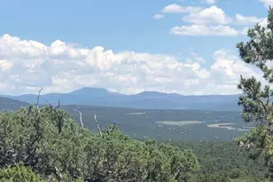 Lot 20 Mountain Pine Rd, Vernon, AZ 85940 - Photo 7