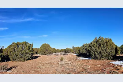 4964 Morning Glory Street, Clay Springs, AZ 85923 - Photo 19